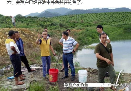 從臭氣熏天到生態(tài)和諧 廣西河池羅城現(xiàn)代生態(tài)養(yǎng)殖的成功實(shí)踐