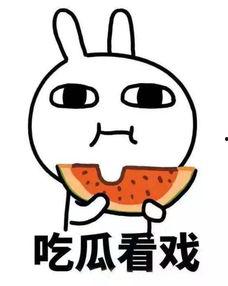 吃瓜姿勢已擺好,解鎖夏日消暑新技能