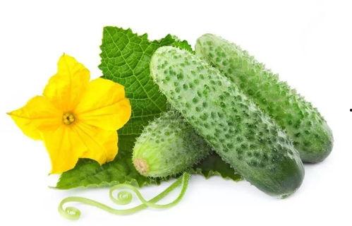 吃瓜系統完結全集,揭秘娛樂圈背后的秘密與真相